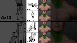 Build a Powerful Neck Top Neck Exercises for a Wide Thick Neck [upl. by Engdahl217]