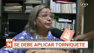 Víbora que mordió a un niño es una ‘Yoperojobobo’ y es altamente peligrosa [upl. by Alegre318]