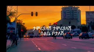 ጎሳዬ ተስፋዬታምሪያለሽGosayetesfayebest lyrics [upl. by Eckblad]