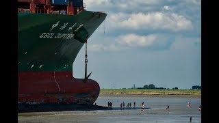 Genscape Vesseltracker  Refloating of Ultra Large Container vessel  CSCL Jupiter [upl. by Furiya]