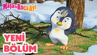 Maşa İle Koca Ayı  Yeni bölüm 2024 🐦 Sıradışı Kuş 👋 Bölüm koleksiyonu 🎬 [upl. by Llerehc]