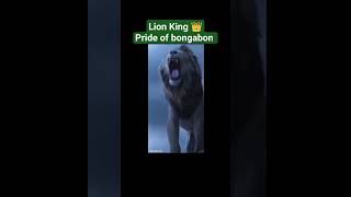 Pogi ng Tagulod vs Bridgestone Lion ng Bongabon [upl. by Sivlek]