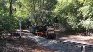 Golden Spike Chapter of the Family Motor Coach Association FMCA visits Swanton Pacific Railroad [upl. by Ahsiekahs]