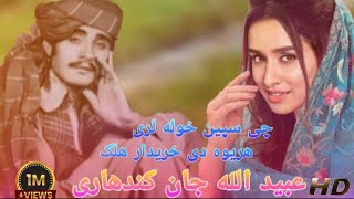 ubaidullah jan kandahari Songs  چی سپین خوله لری هلک هریوه دی خریدار هلAHMED musapar [upl. by Ilyse]