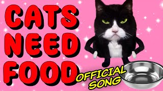 Cats Need Food Official Kittycat Song 2 [upl. by Dene192]