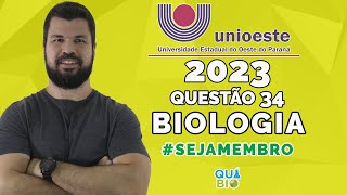 UNIOESTE 2023  Questão 34  A figura abaixo é uma representação de um processo de divisão celular [upl. by Eelsew]