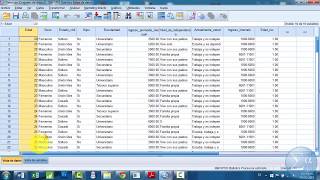 Recodificación de variablesSPSS [upl. by Lienaj]