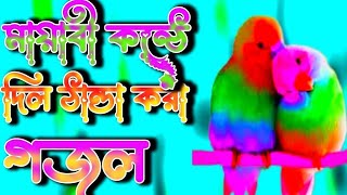 একটা উড়াল দিয়ে আমি মদিনা যাইতাম akta udal dia ami modinay jaitam sm media 161 [upl. by Haik871]