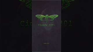 Cicada 3301 [upl. by Nomzed]