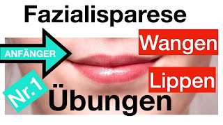 Nr1 Gesichtslähmung verbessern 4 Übungen für Lippen  Wangen Fazialisparese AnfängerDehnungen [upl. by Clea]