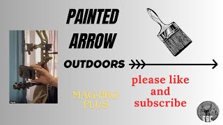 painted arrow pro mag review [upl. by Gayler913]