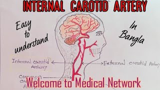 Internal Carotid ArterySegments amp Branches Within 5 minutes In Bangla 😊 [upl. by Ettolrahs]