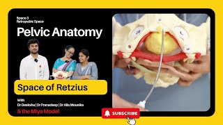 Pelvic Anatomy  Episode 03  Retropubic Space  Space of Retzius  Prevesical Space [upl. by Nannie933]