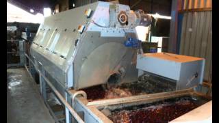 Haith Beetroot Washing amp Grading [upl. by Charline623]