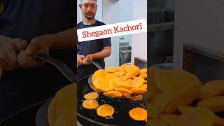 🔥Shegaon Kachori  Deccan Gymkhana Pune  pune food punefoodblog streetfood [upl. by Nennarb]