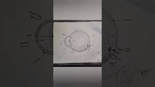 eye diagram easy drawing viralshorts [upl. by Shirlie]