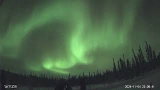 November 2 2024 Northern Lights Timelapse in Fairbanks Alaska [upl. by Natalina719]