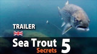 Sea Trout Secrets 5 Spin fishing • Trailer [upl. by Ailemak]