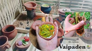 Thlamah Vaipaden Sangha rep nen ka siam  Mini cooking Mizo traditional [upl. by Amihc]