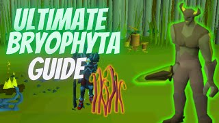 The Ultimate Bryophyta Guide 445  OSRS F2PMembers [upl. by Omland]