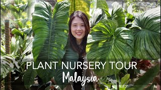 Plant Nursery Tour in Malaysia  Exotic Rare amp OVERSIZED Tropical Plants with 40 plant IDs [upl. by Naesad]