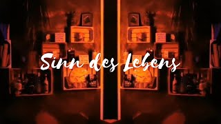 Der Sinn des Lebens Ist Leben Julia Engelmann Poetry Slam Rothileb dein Leben [upl. by Erdnoid]