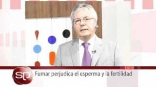 Dr Pasqualini Fumar perjudica el esperma y la fertilidad [upl. by Caldera]