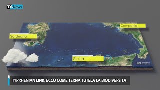 Tyrrhenian Link cosa è e come tutela la biodiversità del pianeta Blu [upl. by Salazar830]