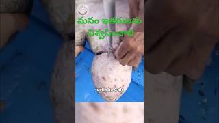 pets doglover youtubeviral love telugushorts telugucomedy srikakulam vishakapatnam china [upl. by Moreno915]