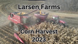 Larsen Farms Corn Harvest 2023 [upl. by Conn]