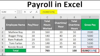 Easy Payroll System In Excel [upl. by Sublett]