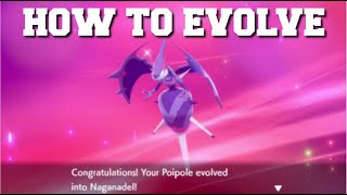 HOW TO EVOLVE POIPOLE INTO NAGANADEL IN POKEMON SWORD AND SHIELD CROWN TUNDRA DLC [upl. by Seluj]