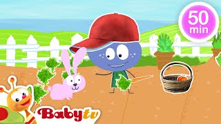 Gemüsegarten 🍅​🥒​ Weitere beste Folgen und Kinderlieder  Videos für Kleinkinder BabyTVDE [upl. by Furlani]