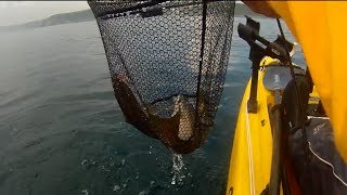 Kayak Fishing  Inshore Reef Fishing for Pollack [upl. by Acsisnarf626]