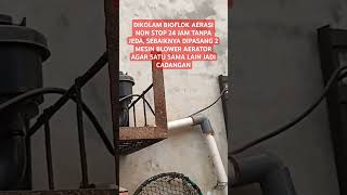 Dikolam Bioflok Aerasi Non Stop Dipasang 2 Mesin Blower Aerator Agar Satu Sama Lain Jadi Cadangan [upl. by Emmett]