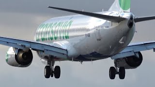 Transavia Boeing 737800  PHHSB  Landing at Norwich Airport [upl. by Vlad]