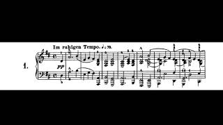 RSchumann  Gesänge der Frühe op133 Anatol Ugorski [upl. by Norraj415]