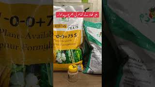 How to get high yield of wheat crop whithout Basel Dosage of fertilizer  New techniques Kisan Ghar [upl. by Nilauqcaj]