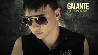 Galante  Si Se Da Lyric Video [upl. by Spancake]