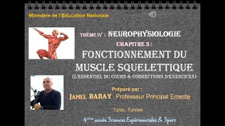 Le fonctionnement du muscle squelettique mp4 [upl. by Nahtnhoj15]