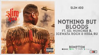 Slim 400  quotNothign But Bloodsquot Ft SD Munchie B Icewata Rock amp Keda Ru BompTTon [upl. by Ahkeber]