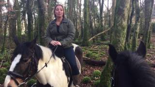 Horse Riding Ballyhannon House Co Clare Ireland [upl. by Damicke667]