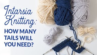 How to Preplan an Intarsia Knitting Project indepth  Hands Occupied [upl. by Luebke]