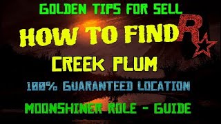 How to find the CREEK PLUM for Moonshiner Role Where to find Creek Plum Red Dead Online rdr2 [upl. by Hannah]