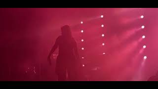 Tove Lo  Borderline live  Ryman Auditorium Nashville [upl. by Amorette]