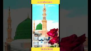 আরশের মেহমান নবীর রওজা শরীফ Nabir Rowza Sharif  banglagojolviralvideogojol shortvideoytshort [upl. by Hcnarb193]