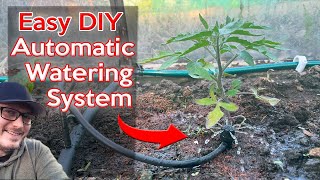 DIY Garden Watering Irrigation System  Simple and Affordable Automatic Watering Solution [upl. by Yajiv417]