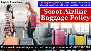 Scoot Airline Baggage Policy  Hand Baggage And Checked In Baggage [upl. by Sheelah]