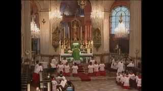 Parisians Enjoy Simple Majesty of Tridentine Latin Mass [upl. by Shig]