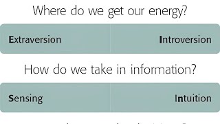 MBTI Understanding the Dichotomies [upl. by Sonaj]